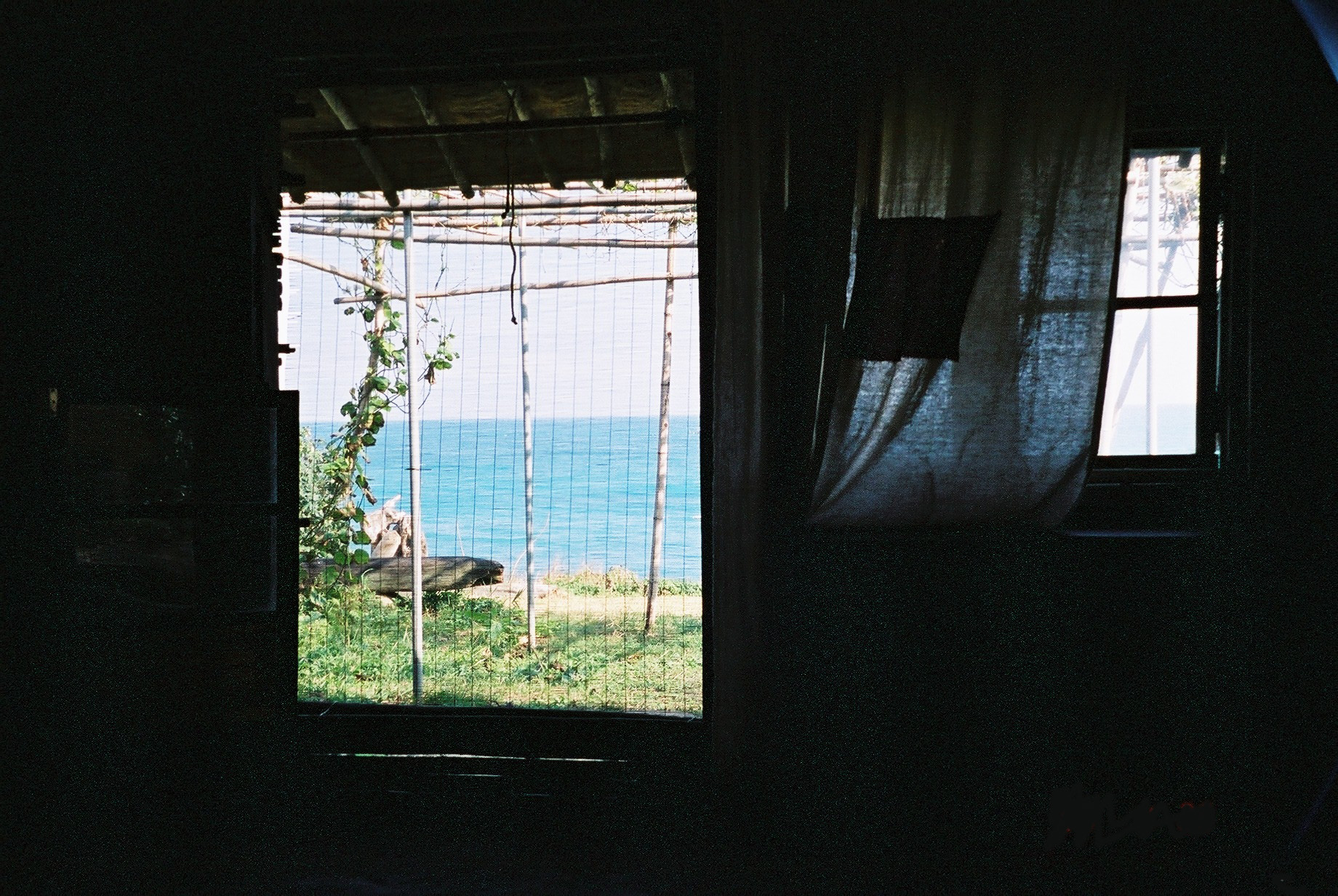 Pacific Ocean Window