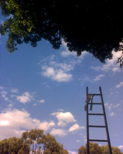 Ladder by Christop