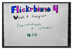 Flickr Bingo 4