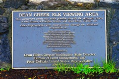 Dean Creek Elk VIewing Area
