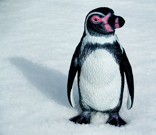 Effect of Google Penguin Updates on SEO