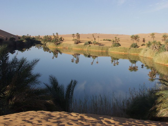 Las maravillas del desierto del Sahara 78495911_8941bb2cfc_z