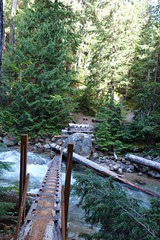 E. Creek Trail Gold Hill Mine 6-27-15