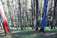Bosque de Oma y Durango