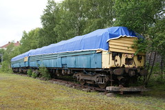 Class 311 (AM11)