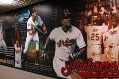 Tribe v. Brewers 2009