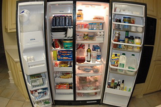The Muse Refrigerator - Full frontal