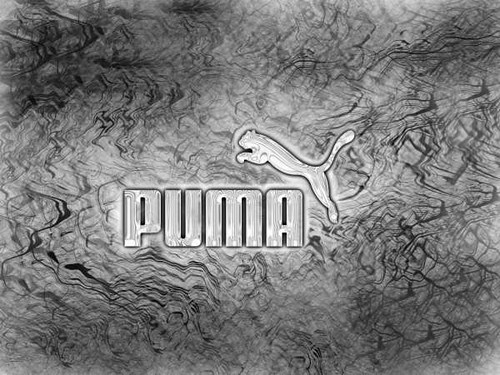 Puma Logo Tauntedjpg I was obsessd with puma at one point 