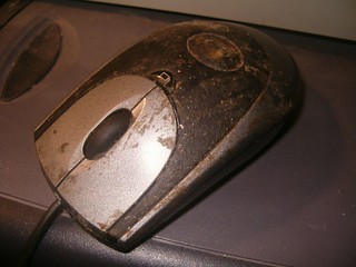 Old mouse
