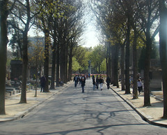 Paris et ses cimetières  (Père-Lachaise & Montparnasse)