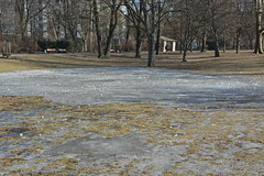 Eis im Volkspark Wilmersdorf