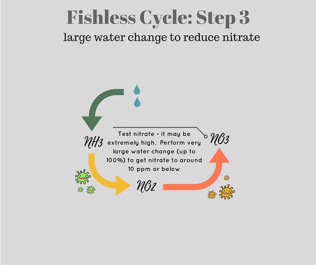 diagram showing step three of fishless cycle - water change to reduce nitrate