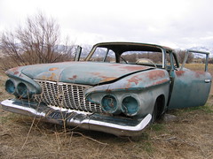 Rusted automotive hulks