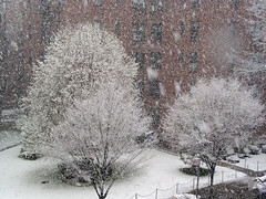 Snowstorm - April 5, 2006