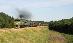 Trains in Lithuania