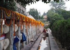 Sujata Kuti and Mahabodhi Temple, India