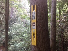 Low Gap Creek Sign 