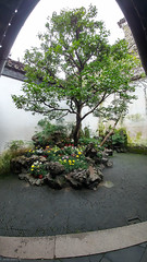 China  - Suzhou, Jardin Liu, Lingering Garden
