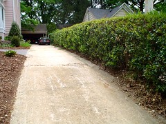 Driveway and hedge