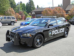 Milton Police Department (AJM NWPD)