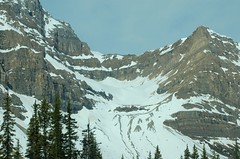 Crowfoot Glacier, Hwy 93 North