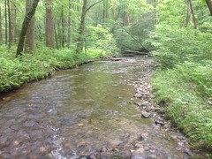 Jasus Creek 