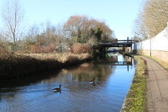 The Ashton Canal