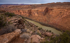 Colorado River Canyon (1-22-17)