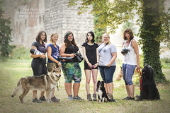 Dog Photography Workshops in Vienna