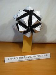 Outdoor Origami Meeting Module (OOMM)