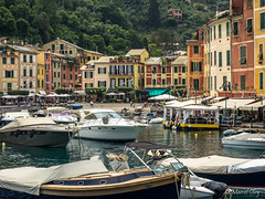 Italie-de Rapallo à Portofino (8 juin 2015)
