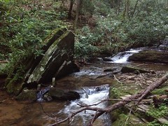 Lower Jasus Creek 2