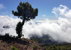La Palma 2016