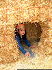 olivia hiding in a hay bale tunnel - dscf6656
