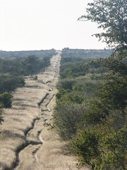 Makgadikgadi/Nxai Pans National Park