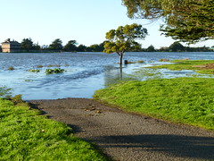 flooded path 1/2