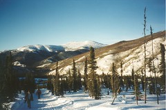 Alaska - March 2000