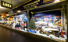 Loeb Schaufenster - 40 Jahre Europapark