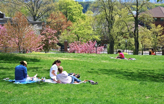 students studying on campus green