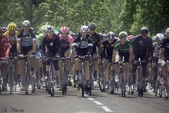 Critérium du Dauphiné 2015