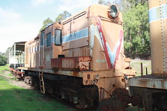 WAGR Y class Disesel-electric locomotives