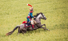 Waterloo 1815-2015 (V8)
