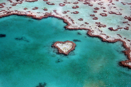 Heart Reef, Whitsunday Islands
