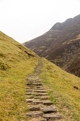 steps in a hillside