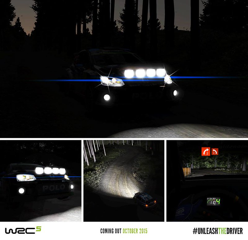 WRC 5 Night Stage