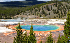 USA : Wyoming - Yellowstone - geysers