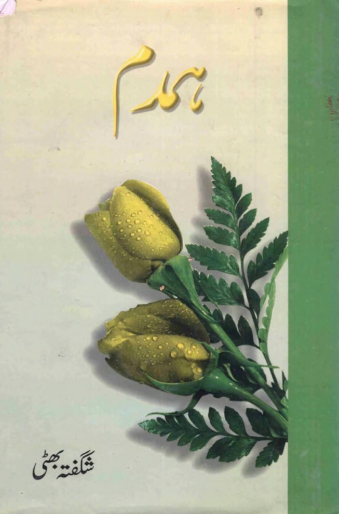 Humdum is a very well written complex script novel by Shagufta Bhatti which depicts normal emotions and behaviour of human like love hate greed power and fear , Shagufta Bhatti is a very famous and popular specialy among female readers