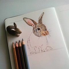 #WIP #bunny #Moleskine #sketchbook #conejito #colouredpencils #onesketchaday