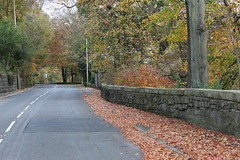 Autumn in Cragg Vale Area