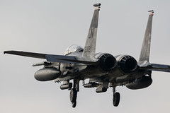 494th FS - Panthers
